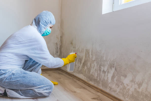 Bathroom Mold Removal assessment in Chesterfield bathroom