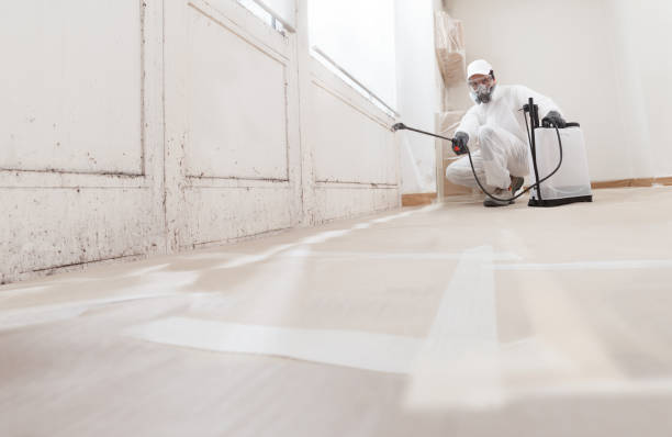 Post-remediation clearance in Chesterfield